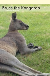 Bruce the Kangaroo
