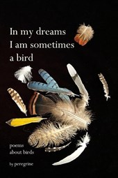 in my dreams I am sometimes a bird