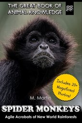 Spider Monkeys: Agile Acrobats of New World Rainforests
