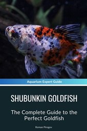 Shubunkin Goldfish: The Complete Guide to the Perfect Goldfish