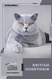 British Shorthair: Cat breed overview, care handbook