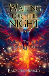 Waiting for the Night