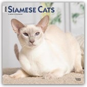 Siamese Cats 2026 Square Flap Calendar