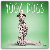 Yoga Dogs - Hunde Yoga 2027 - 16-Monatskalender