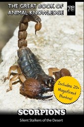 Martin, M: Scorpions