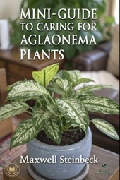 A mini-guide to caring for Aglaonema plants