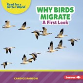 Why Birds Migrate: A First Look
