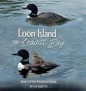 Videtto, D: Loon Island on Leavitt Bay