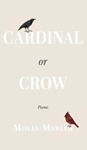 Cardinal or Crow