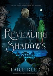 Revealing Shadows: Guardians of Areli, Book 1