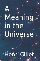 A Meaning in the Universe