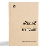 Shepherd's Notes on the New Testament