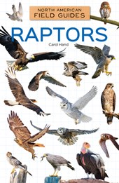 Raptors