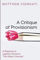 A Critique of Provisionism