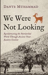 We Were Not Looking