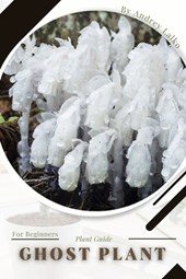 Ghost Plant: Plant Guide