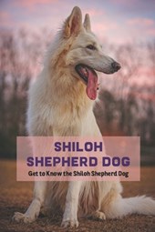 Shiloh Shepherd Dog