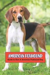 American Foxhound