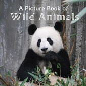 A Picture Book of Wild Animals