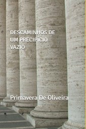 Descaminhos de Um Precipicio Vazio