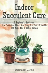 Indoor Succulent Care