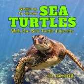 Getting to Know Sea Turtles