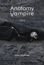 Anatomy of a Vampire