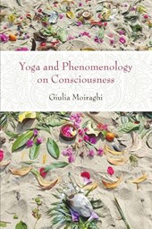 Yoga and Phenomenology on Consciousness