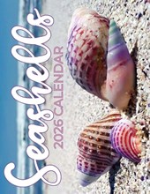 Seashells 2026 Calendar