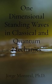 One Dimensional Standing Waves in Classical and Quantum Mechanics