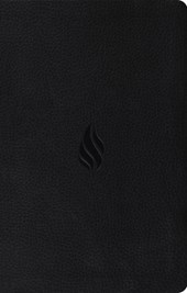 ESV Premium Gift Bible (Trutone, Midnight, Flame Design)