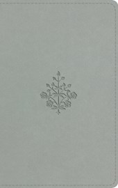 ESV Large Print Value Thinline Bible