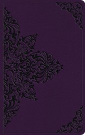 ESV Large Print Value Thinline Bible