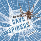 Cave Spiders