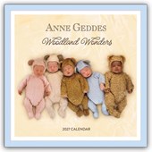 Anne Geddes 2027 Wall Calendar