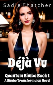 Déjà Vu: A Bimbo Transformation Novel