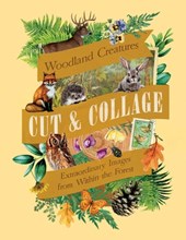 Cut & Collage Woodland Creatures