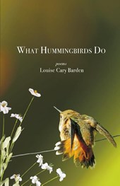 What Hummingbirds Do