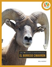 El Borrego Cimarrón: Spanish Edition