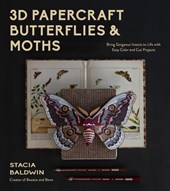 3D Papercraft Butterflies & Moths