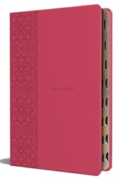 Origin: KJV Holy Bible, Large Print Medium Format, Fuchsia F