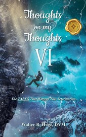 Thoughts on my Thoughts VI