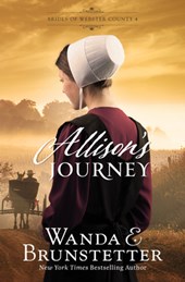 Allison's Journey: Volume 4