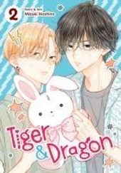 Hoshino, M: Tiger and Dragon Vol. 2
