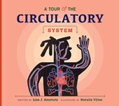 A Tour of the Circulatory System