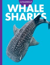 Curious about Whale Sharks