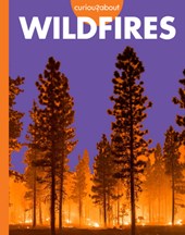 Curious about Wildfires