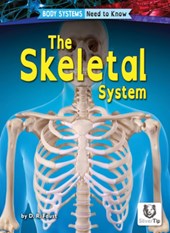 The Skeletal System