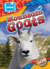 Mountain Goats