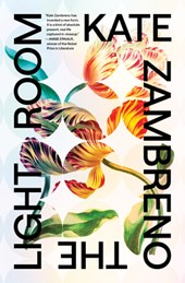 Zambreno, K: Light Room